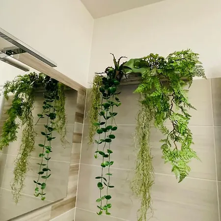 Ca' Ross 4* Формиджине